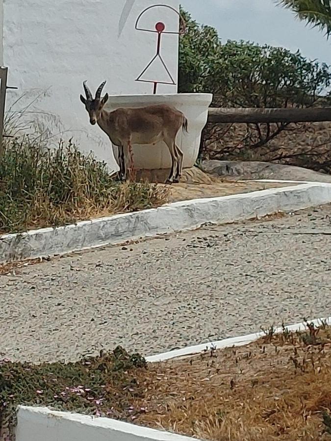 Horizonte Azul Daire Almería Dış mekan fotoğraf